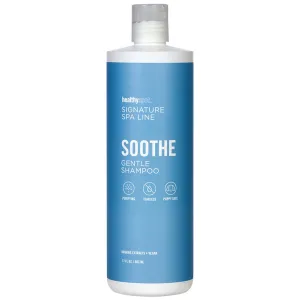 Healthy Spot Signature Spa Soothe Shampoo For Dogs - 17oz