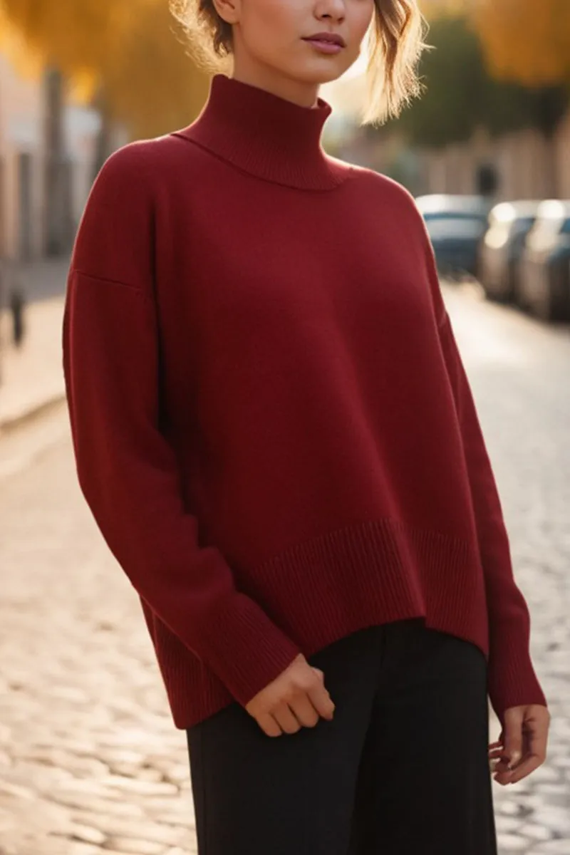 HWT1117 Minimalist Luxe Turtleneck