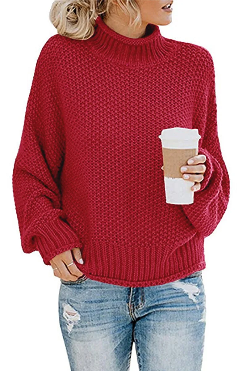 HWT1219 Cozy Chic Turtleneck Sweater