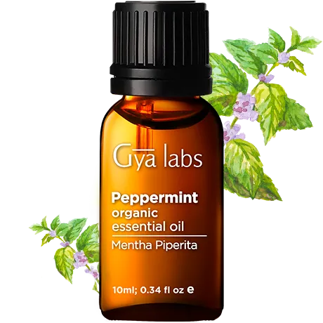 Organic Peppermint Oil