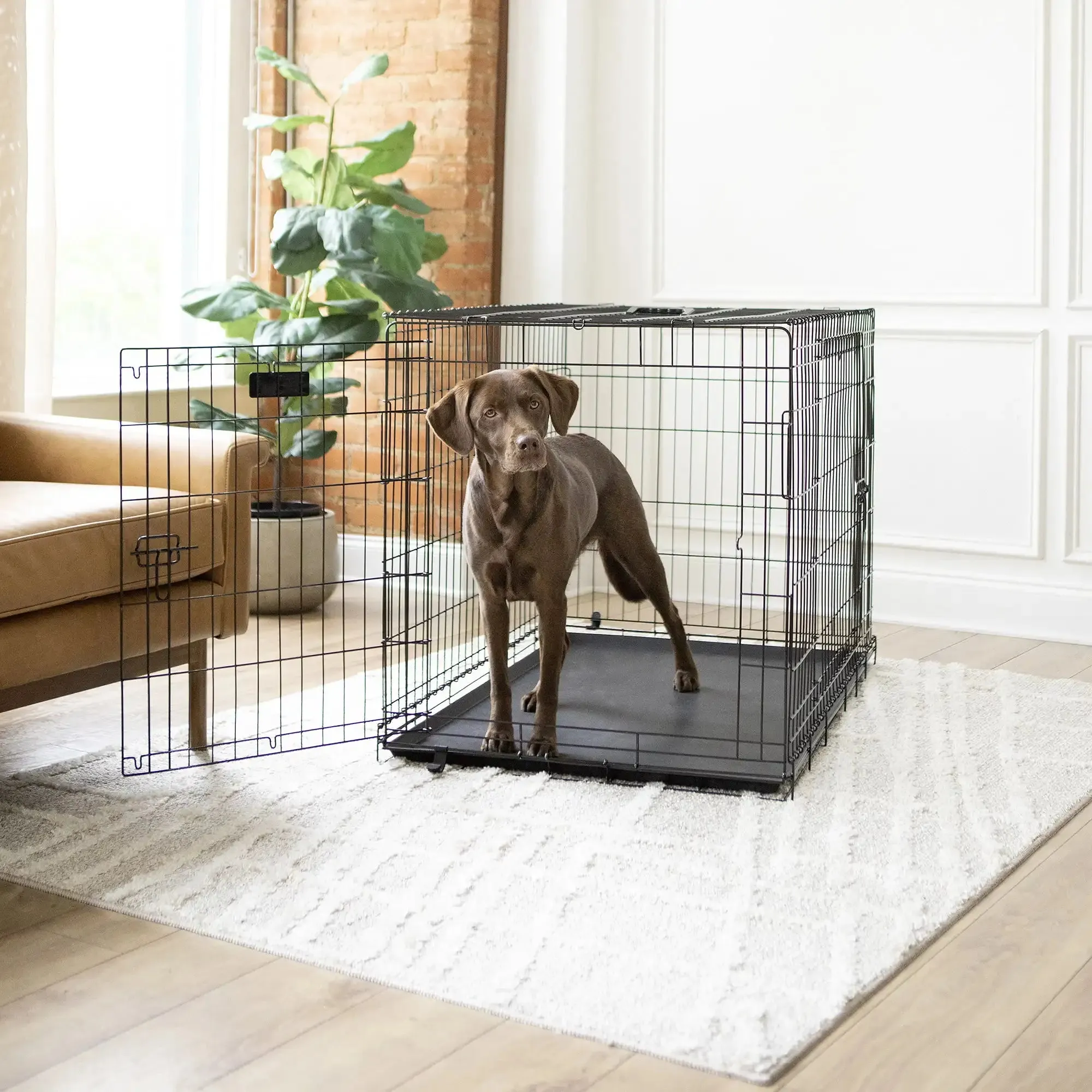 Pat and Pet Emporium | Pet Beds | Medium Dog Crate 42" 5 Pcs