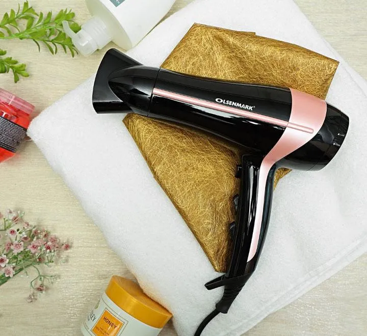 Powerful Hair Dryer with Concentrator