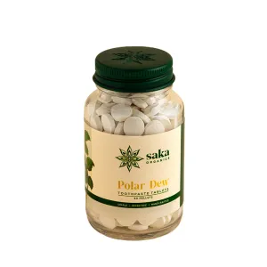 Saka - Polar Dew | Handmade Spearmint Toothpaste Tablets | Natural Oral Care (250 Pellets)